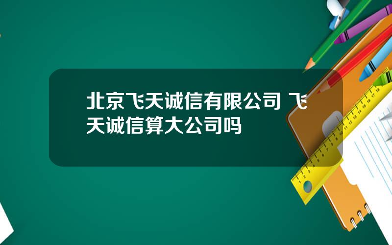 北京飞天诚信有限公司 飞天诚信算大公司吗